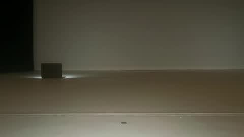 Ol4 online show from 20, 6, 2026