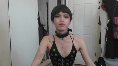 soophiebby online show from 7, 6, 2026