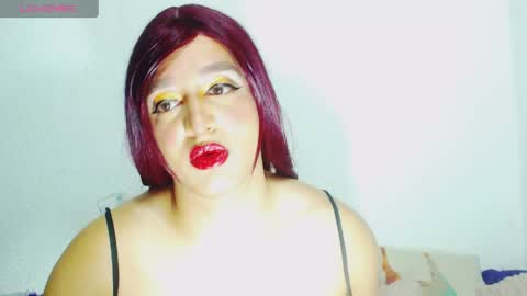 sophiehillsxo online show from 8, 6, 2026