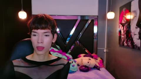 stefany piink online show from 5, 6, 2026