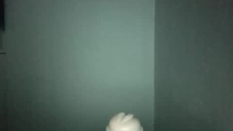Snapshot of steph_lyn1 chatting on 19, 1, 2026 Alpharius 17 online show from 19, 1, 2026