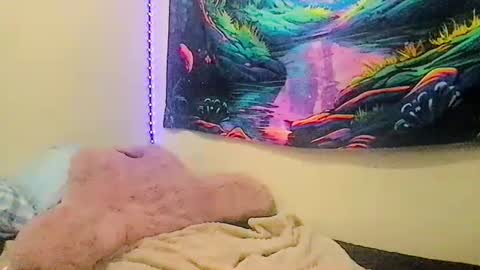 Snapshot of stephielynnnnn chatting on 15, 6, 2026 stephielynnnnn online show from 15, 6, 2026