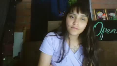 stuffed_rabbit online show from 24, 1, 2025