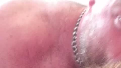 Subbear online show from 30, 6, 2026