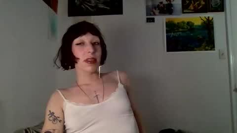 sweet_harvey online show from 1, 4, 2026