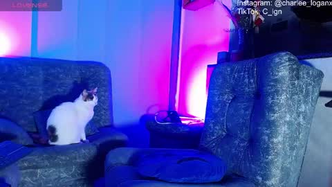 Charlee He online show from 7, 6, 2026
