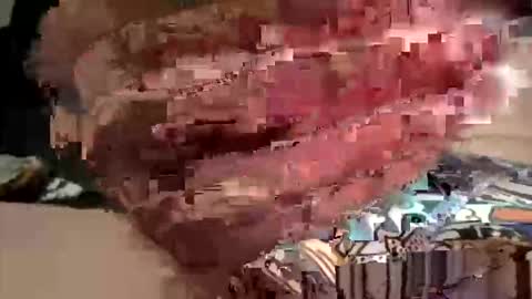 Snapshot of tomsayers777 chatting on 31, 5, 2026 Big Timmy online show from 31, 5, 2026
