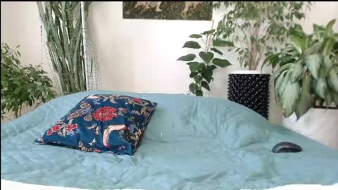 Snapshot of vampire_valentine chatting on 23, 4, 2026 Mollyy Valentine online show from 23, 4, 2026