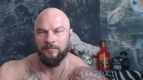 Snapshot of viking_me chatting on 21, 5, 2026 viking online show from 21, 5, 2026