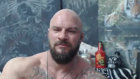 Snapshot of viking_me chatting on 11, 6, 2026 viking online show from 11, 6, 2026