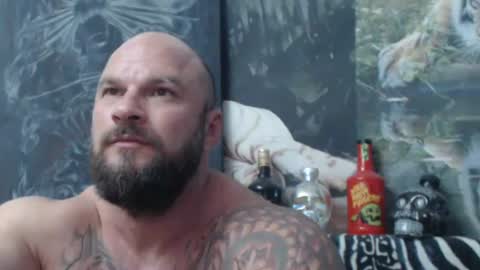 Snapshot of viking_me chatting on 17, 6, 2026 viking online show from 17, 6, 2026
