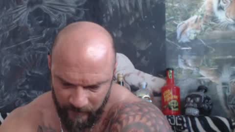 Snapshot of viking_me chatting on 22, 6, 2026 viking online show from 22, 6, 2026