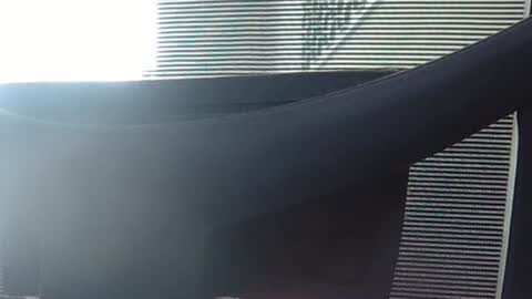 Wetbigdickstream online show from 13, 6, 2026