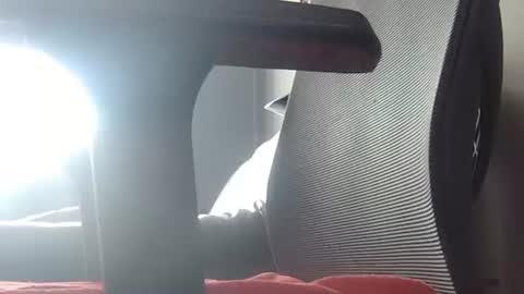 Wetbigdickstream online show from 23, 6, 2026
