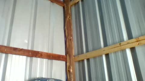 Snapshot of wharda chatting on 23, 6, 2026 wharda online show from 23, 6, 2026