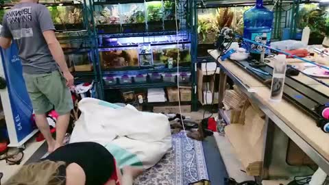 WifeNheels online show from 7, 6, 2026