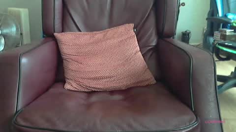 wilbert online show from 16, 6, 2026