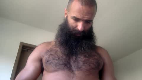 Snapshot of woof_wolf37 chatting on 19, 5, 2026 woof_wolf37 online show from 19, 5, 2026