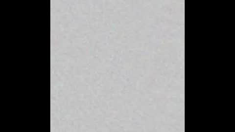 wuddywu online show from 11, 1, 2026