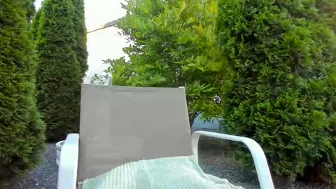 Jacky online show from 11, 6, 2026