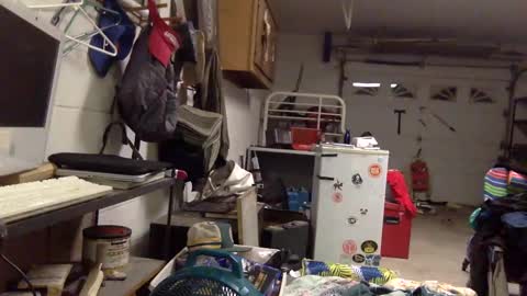 ziggyyz online show from 24, 2, 2025