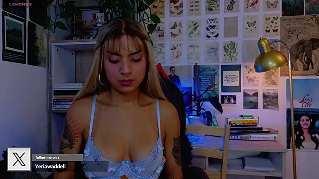 Yeriawaddell  online show from 26, 6, 2026