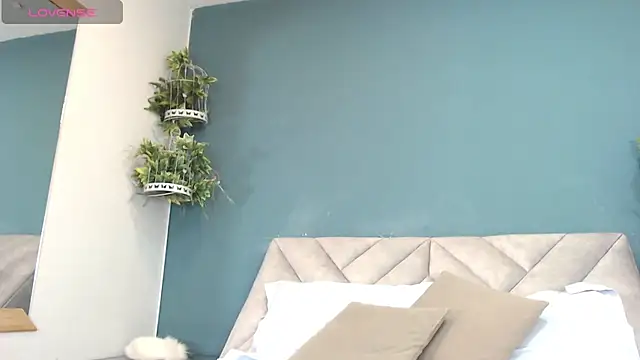SharisWillian online show from 25, 6, 2026