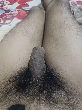 AssamSilchar93 online show from 17, 6, 2026