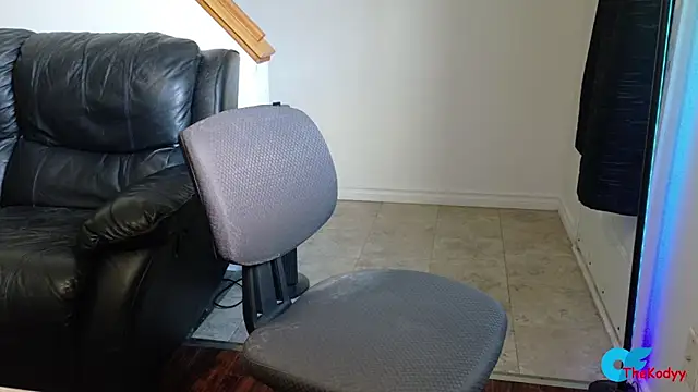 Thekodyy online show from 23, 6, 2026