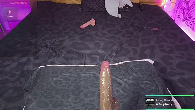 kellycakemeow online show from 17, 6, 2026
