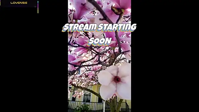 Hackensackneil online show from 18, 5, 2026