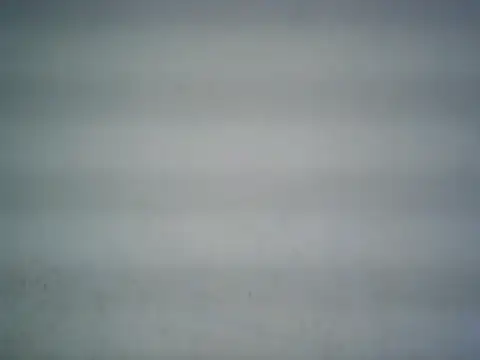 michel1520 online show from 15, 6, 2026