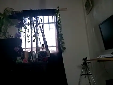 420mussa online show from 20, 6, 2026