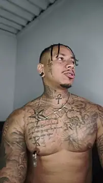 David tatto1 online show from 8, 6, 2026