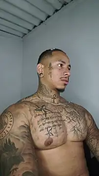 David tatto1 online show from 21, 6, 2026