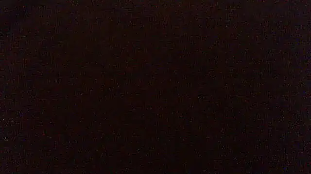 Snapshot of pietje1991 chatting on 17, 4, 2026 pietje1991 online show from 17, 4, 2026