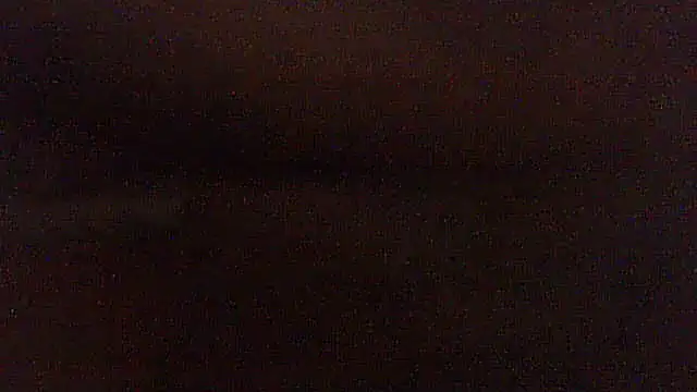 Snapshot of pietje1991 chatting on 29, 5, 2026 pietje1991 online show from 29, 5, 2026