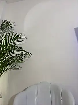 Ariana2017 online show from 11, 6, 2026