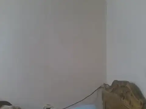 elpoop7305 online show from 3, 6, 2026