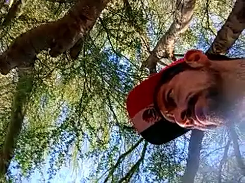 Werito0420 online show from 15, 6, 2026