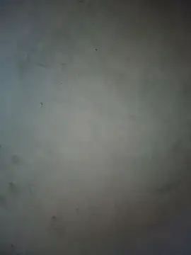 milo123-xx online show from 15, 6, 2026