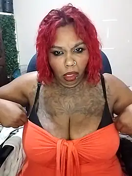 Javel123 online show from 14, 6, 2026