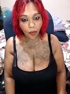 Javel123 online show from 15, 6, 2026