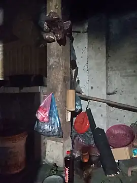 vtmbae online show from 18, 6, 2026