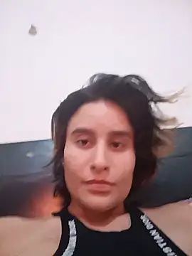 codorniz2025 online show from 13, 6, 2026