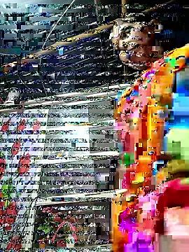 JYRR25 online show from 22, 6, 2026