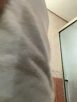 La-Gatiita-trans online show from 9, 6, 2026