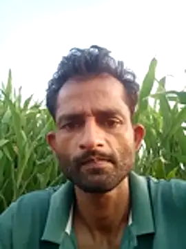 indianpink hub online show from 17, 6, 2026