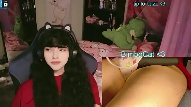 BimboCat online show from 13, 6, 2026