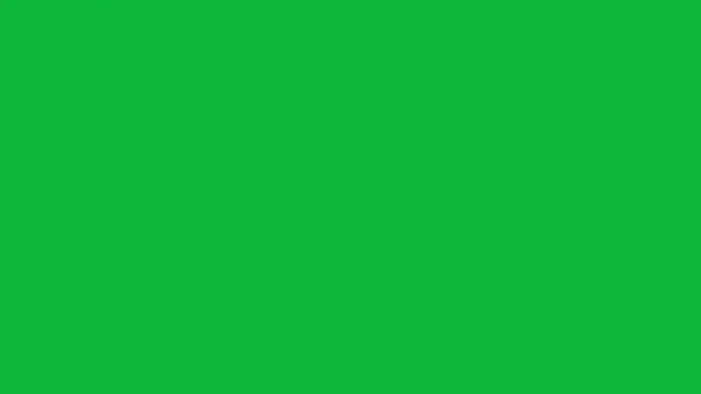 nelielg6 online show from 29, 3, 2026